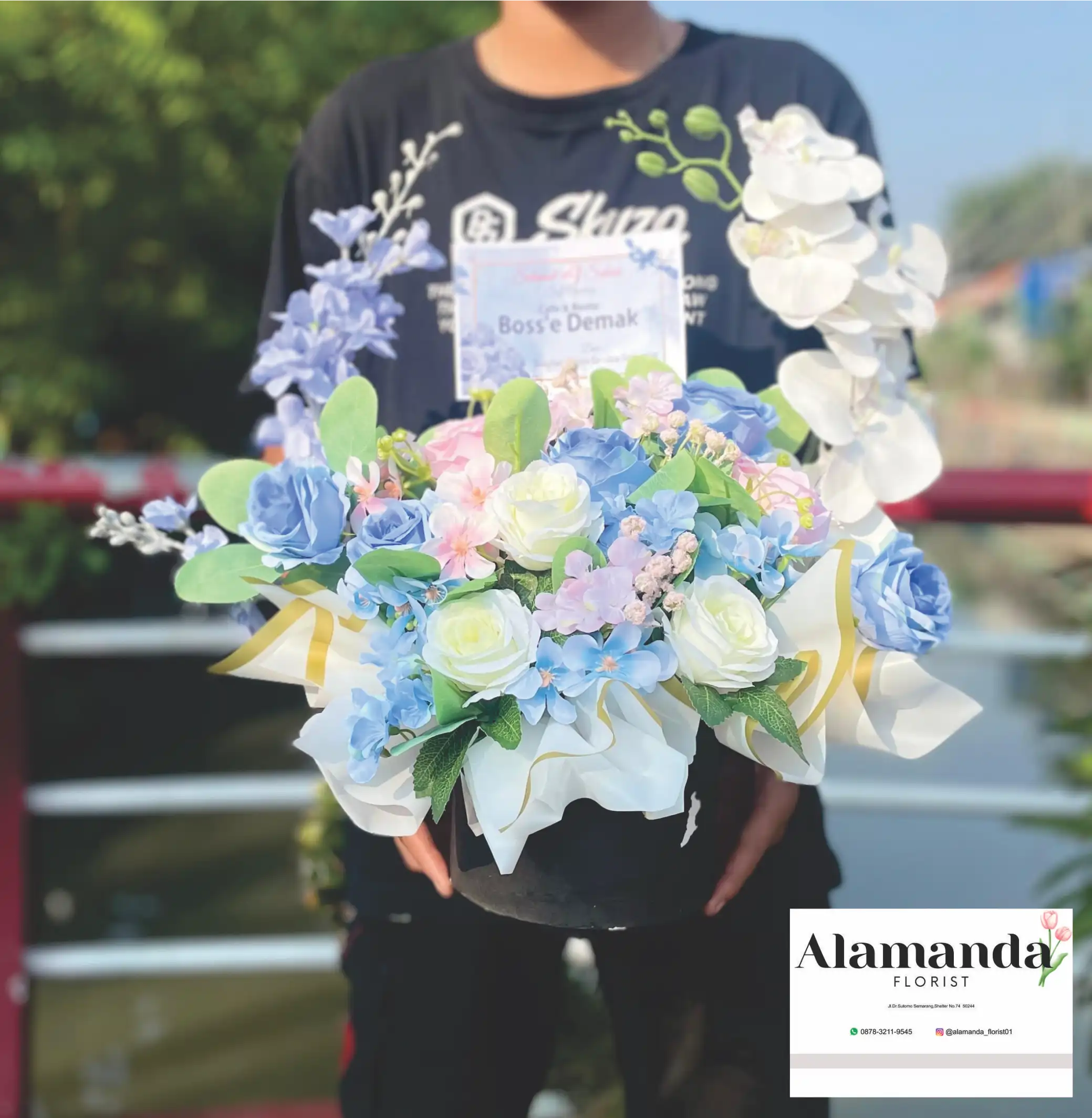 Baloon Flowers