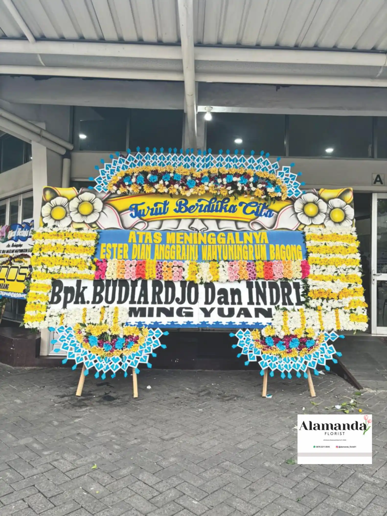Bunga Papan