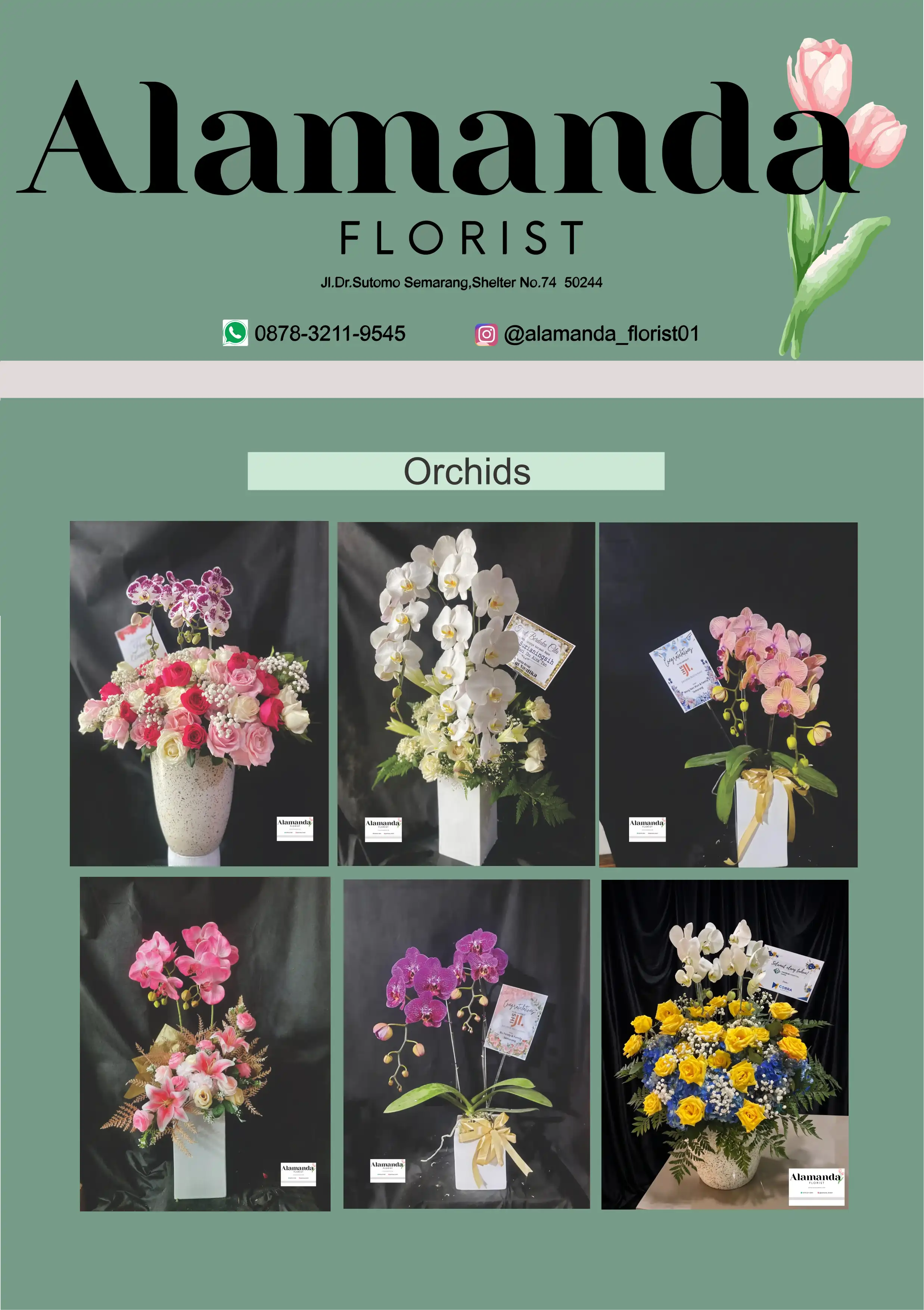 Orchids