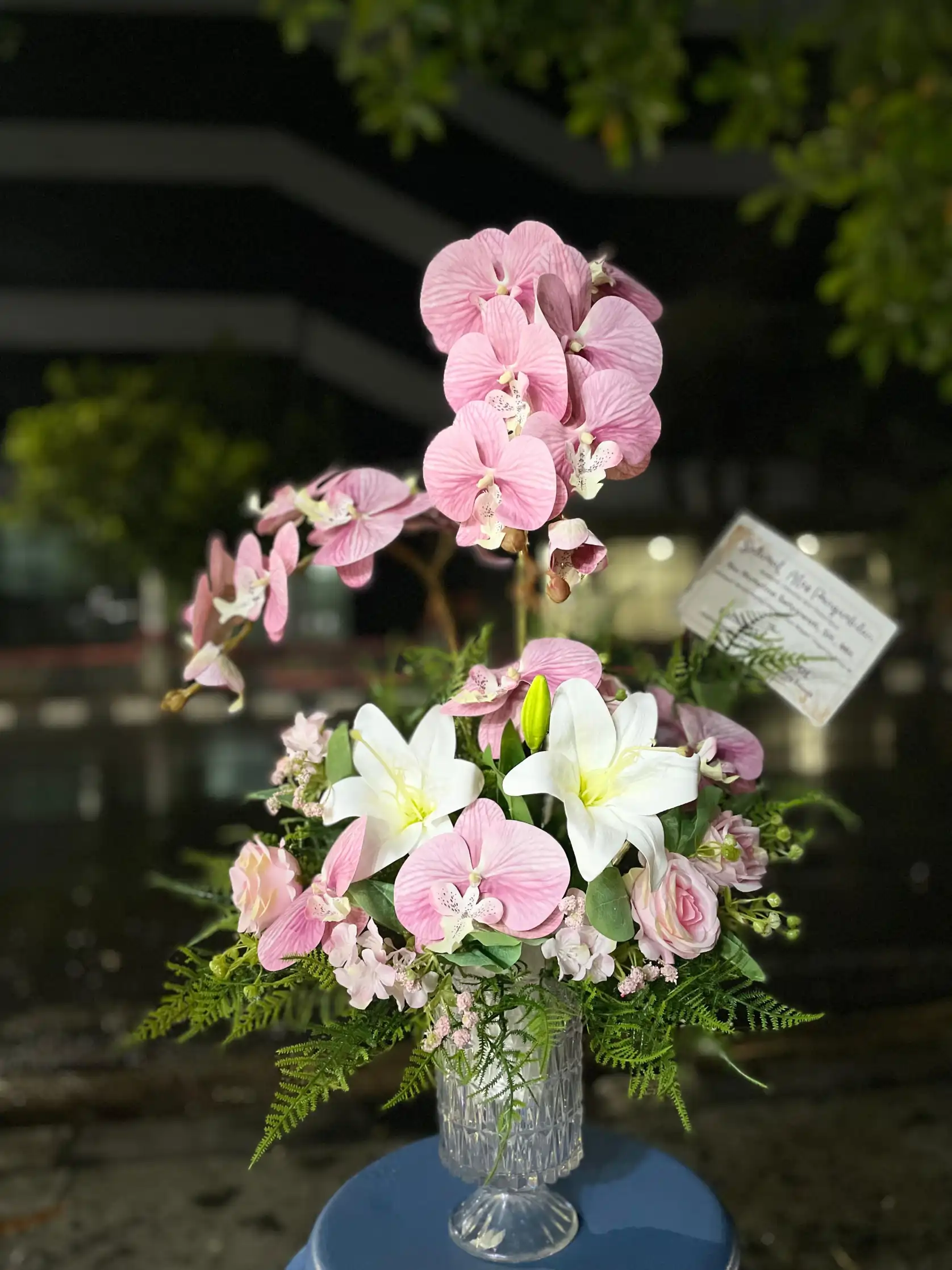Orchids