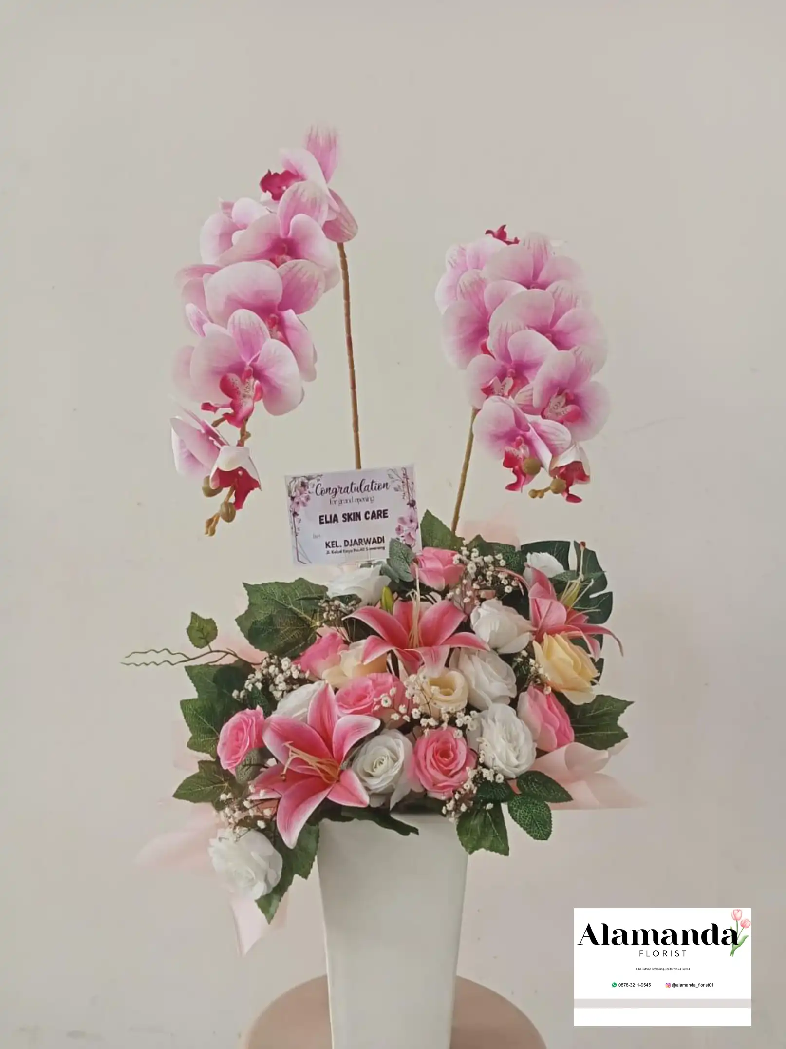 Orchids