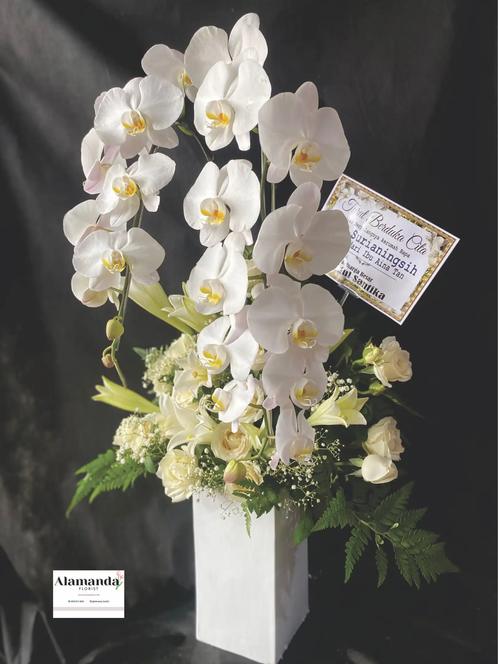Orchids