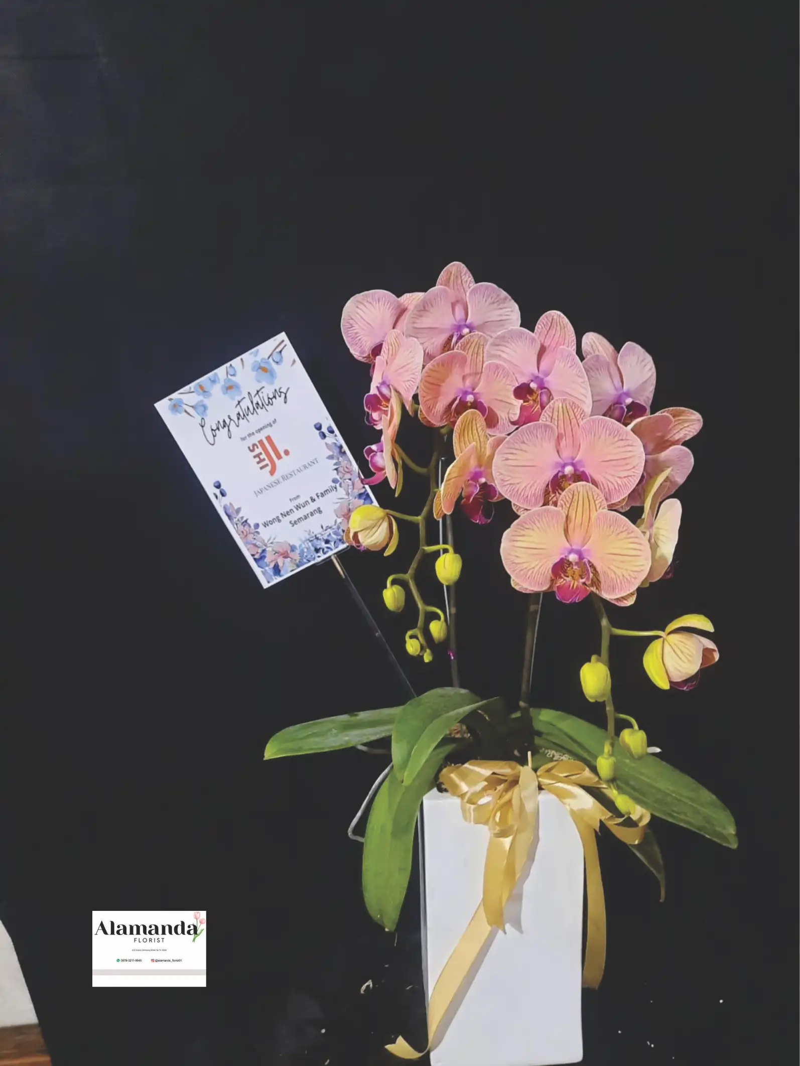 Orchids