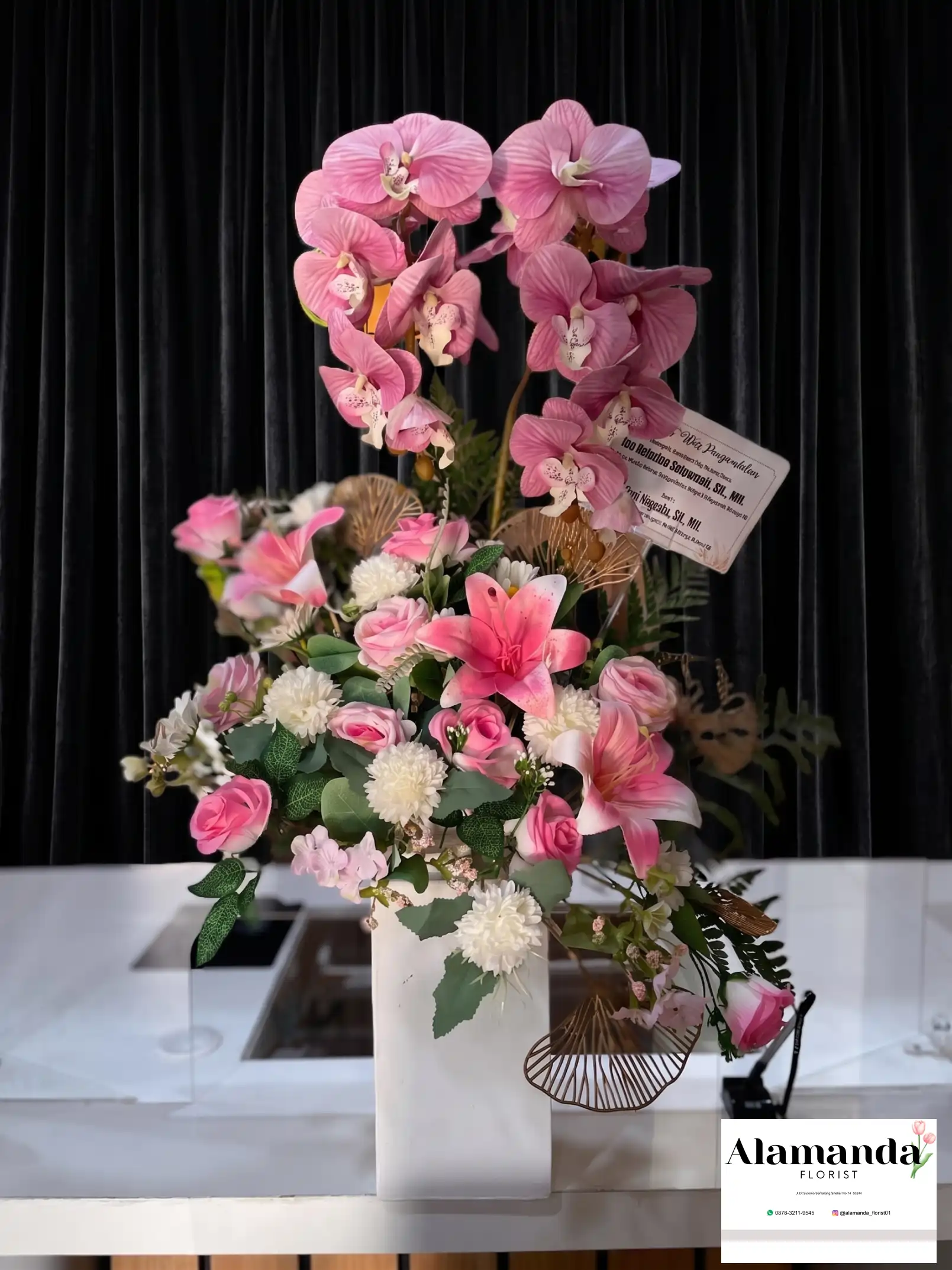 Orchids